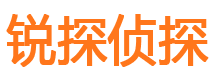 龙海调查公司